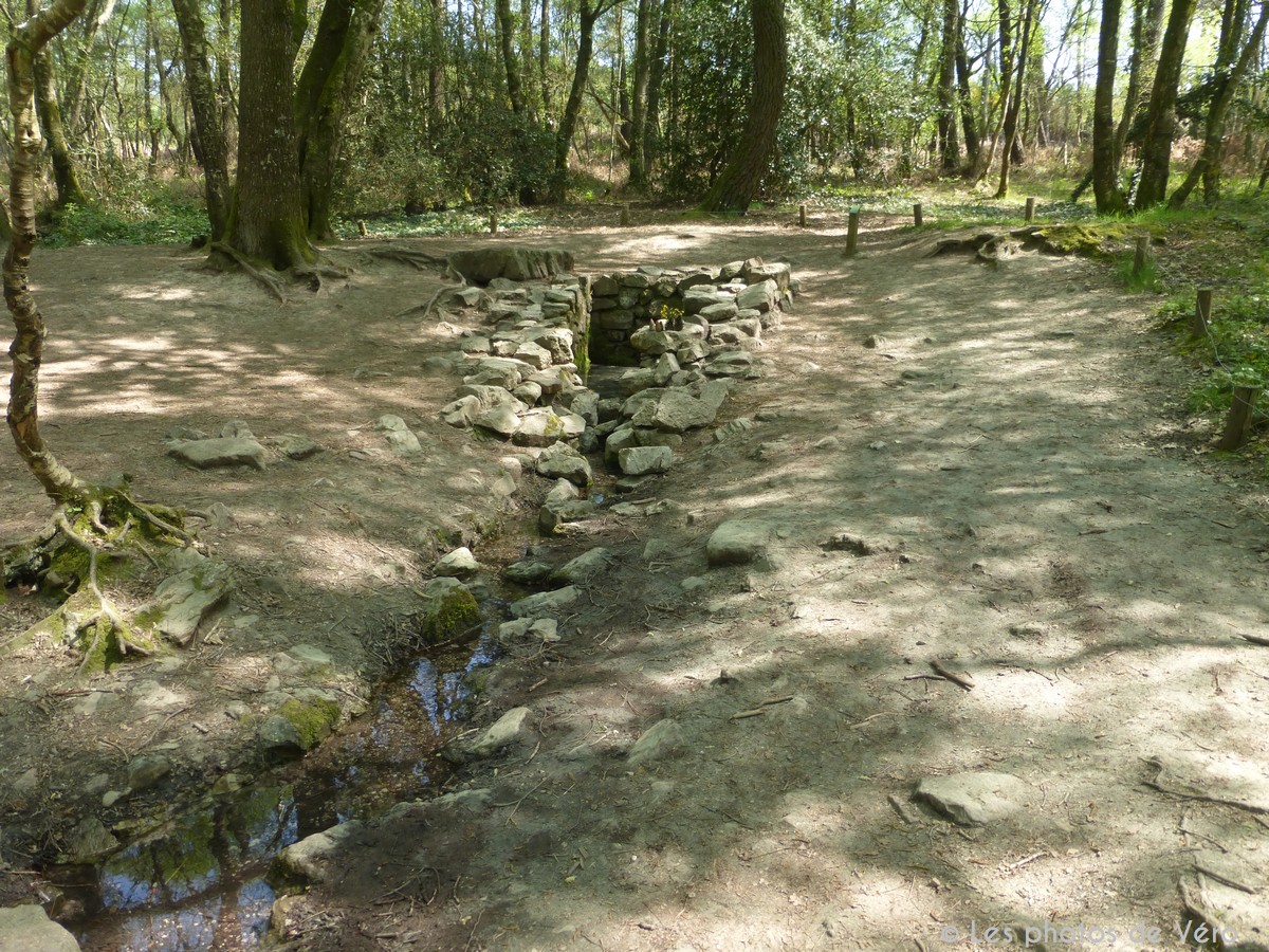 Fontaine de Barenton - Brocéliande - BRetagne 35