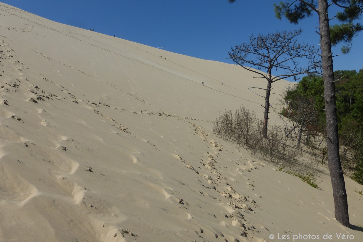 Dune du Pilat - Gironde (33)